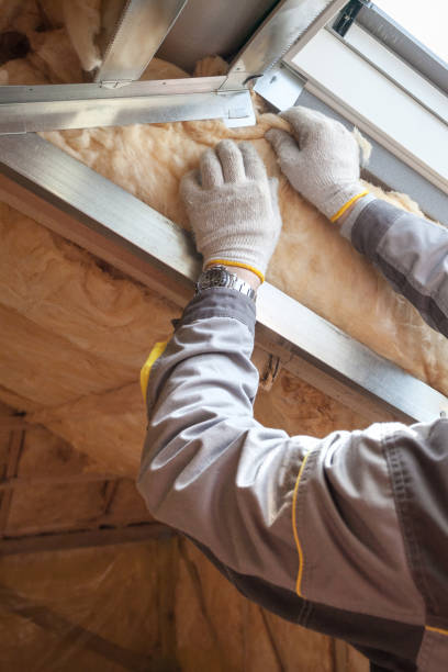 Best Geographic-Specific Insulation Services in Warsaw, IL
